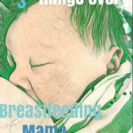Top Recommendations for Breastfeeding Mamas