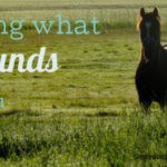 Finding What Grounds You